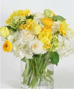 Hello Yellow  