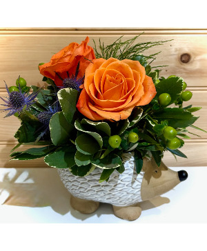 Happy The Hedgehog Powell Florist Exclusive