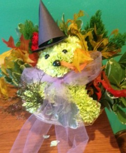 Hepsiba fall  whimsical