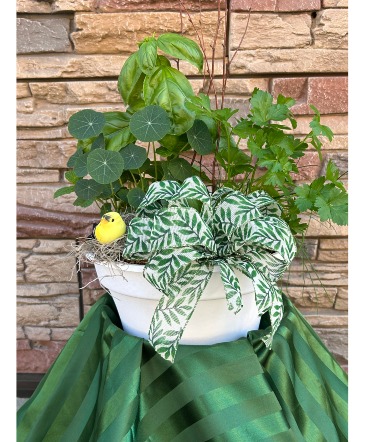 Herb Garden plants in Oil City, PA | DOUBLE BLOOM