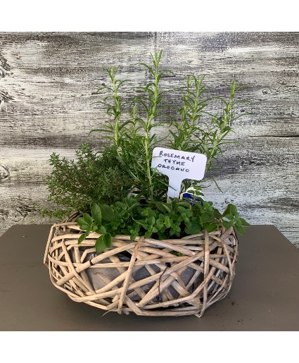 Herb Garden  Plants
