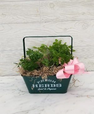Herbiness Happiness Planter