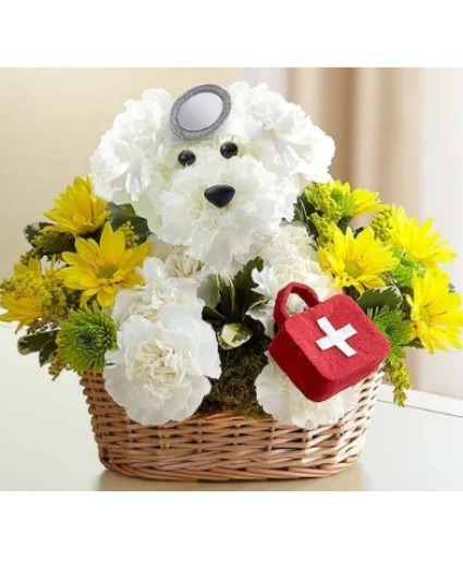 Dr Howl -  