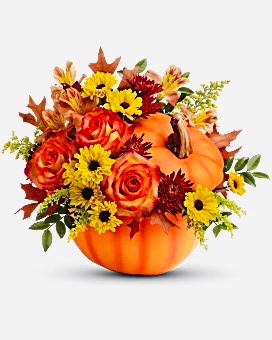 Hey, Pumpkin... Fresh Floral