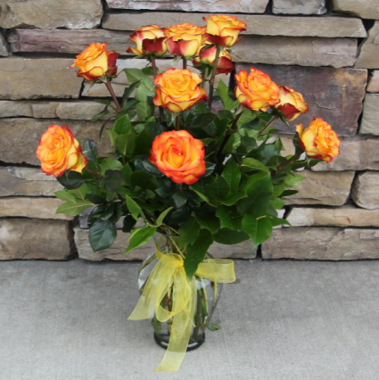 High & Magic Dozen Roses Classic Rose Arrangement
