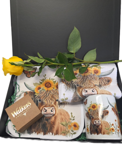 Highland Cow Dispaly Gift Boxed