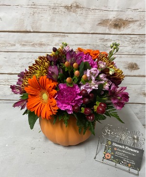 Hocus Pocus Arrangement