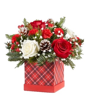 Holiday Cheer  