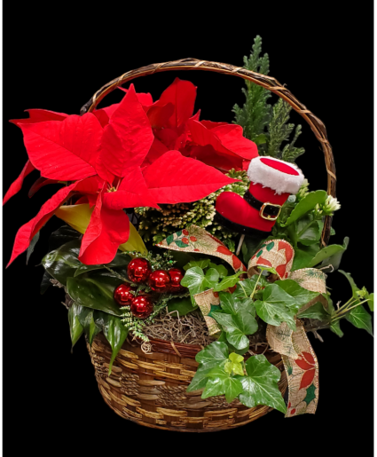 Holiday Cheer basket House plants
