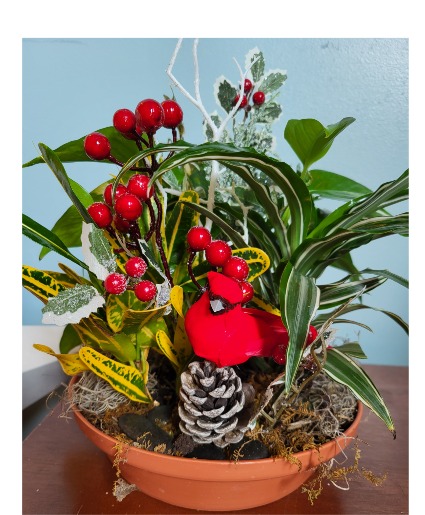 Holiday Dish Garden 