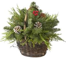 Holiday Greens Basket Basket 