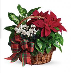 Holiday homecoming basket  