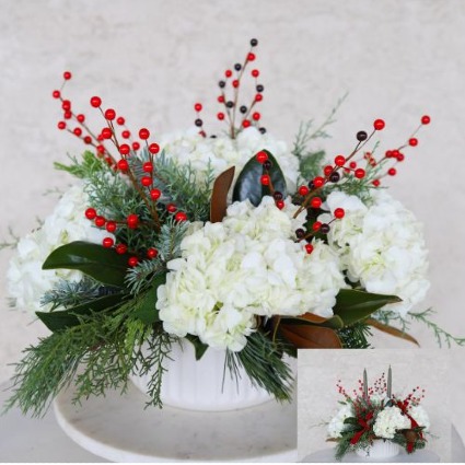 Holiday Hydrangea 