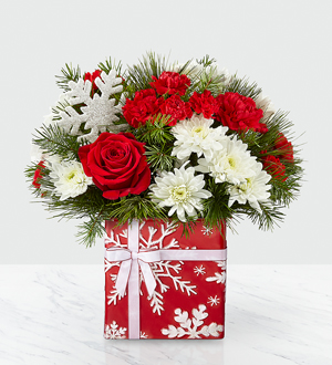 Holiday Joy Christmas