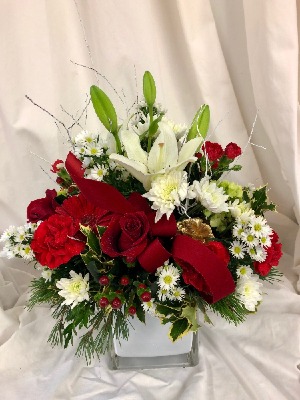 Holiday Joy Christmas