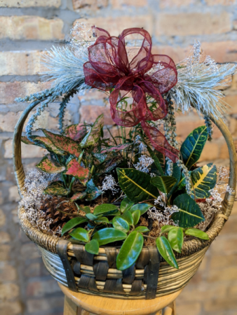 Holiday Plant Basket 