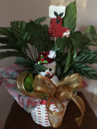 happy holidays Green plant