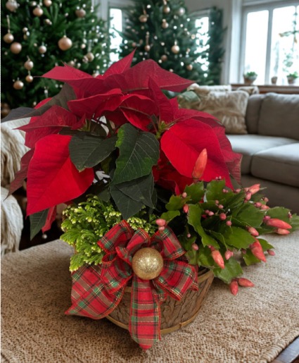 SOLD OUT-Holiday Planter Garden