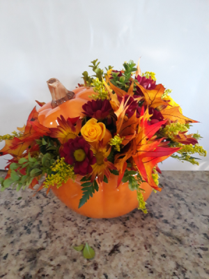 fall time pumpkin  Pumpkin
