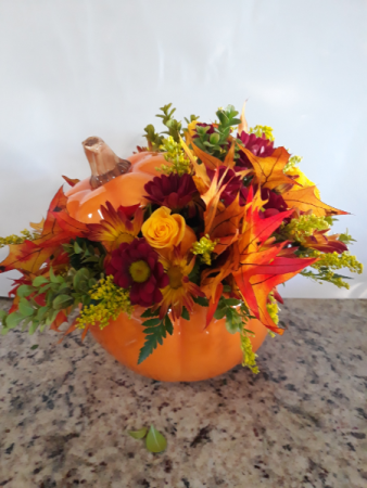 fall time pumpkin  Pumpkin