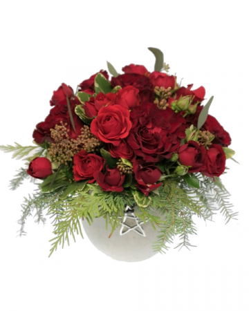 Holiday Sensation Container Arrangement