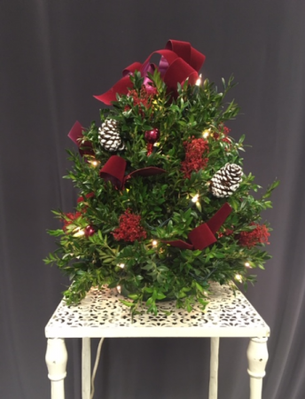 Holiday Splendor Fresh Boxwood Tree