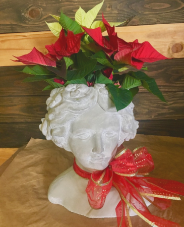Holly Day live plant with decorative container