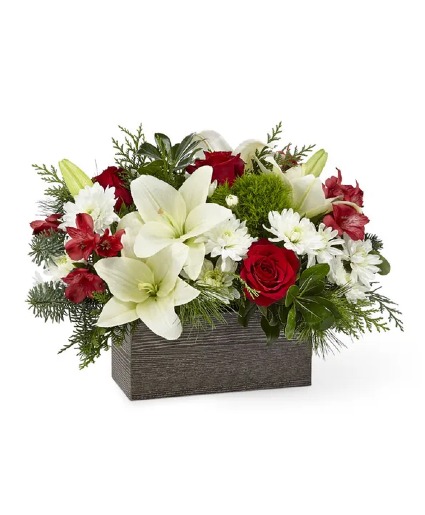 Yuletide Glow - 00504 