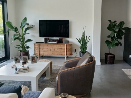 Home Plant Maintenance  