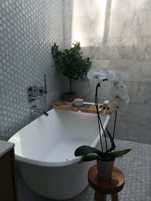 Home Plant Maintenance  