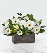 Home Sweet Home - 160 Arrangement 