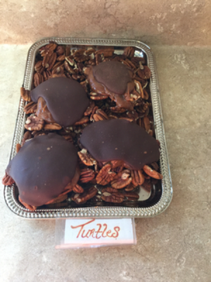 Homemade Turtles  