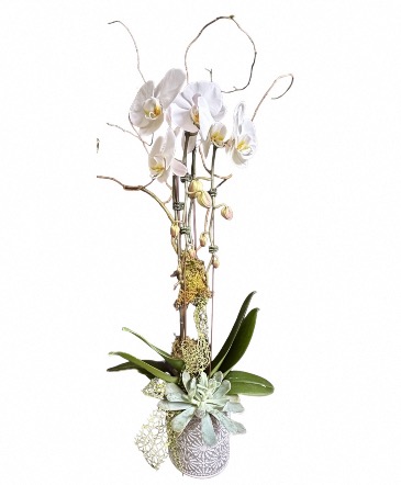 Homers Cascade  in Waco, TX | Bloomingals Floral Boutique