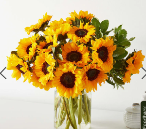 Honey Bee Sunflower Bouquet 