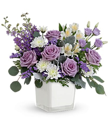 Honey Lavender Blooms 