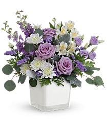 Lavender Blooms 