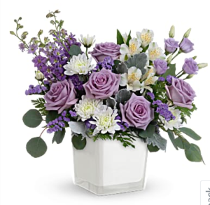 Honey Lavender Blooms 