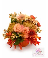 Fall Flowers
