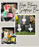 Hope Blooms Surprise Box 