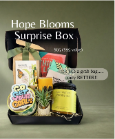 Hope Blooms Surprise Box gift