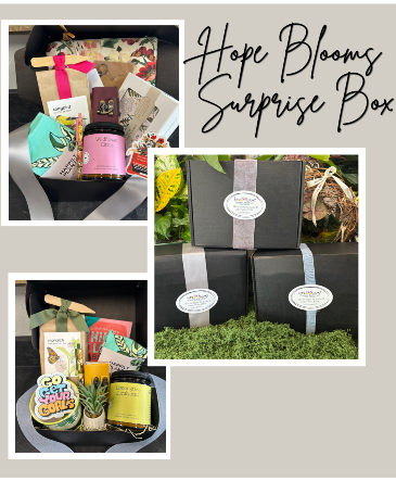 Hope Blooms Surprise Box  in Eagle, ID | Hope Blooms Flowers & Things