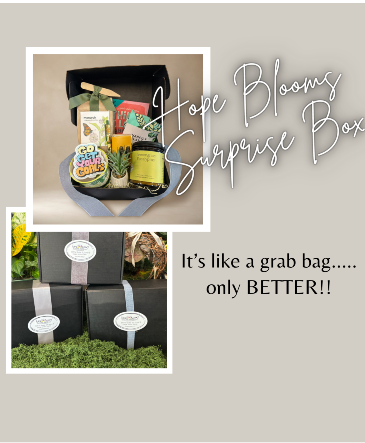 Hope Blooms Surprise Box  in Eagle, ID | Hope Blooms Flowers & Things