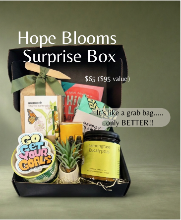 Hope Blooms Surprise Box gift in Eagle, ID | Hope Blooms Flowers & Things