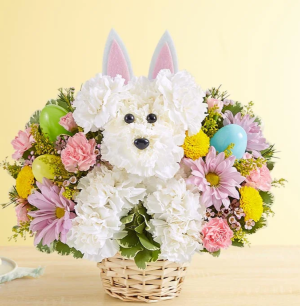 Hoppy Easter 