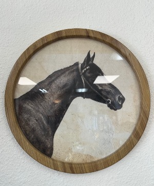 Horse Framed Wall Art 