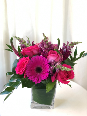 Hot hot hot  Cubed Vase Arrangement 