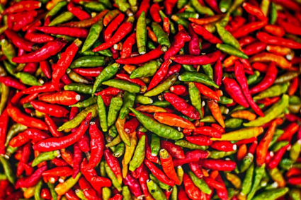 Hot Peppers Greenhouse