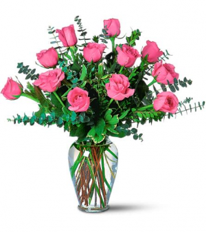Hot Pink Dozen Roses  Roses 