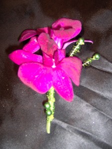 Hot Pink Orchid Boutonniere in Spring Green, WI | Prairie Flowers & Gifts