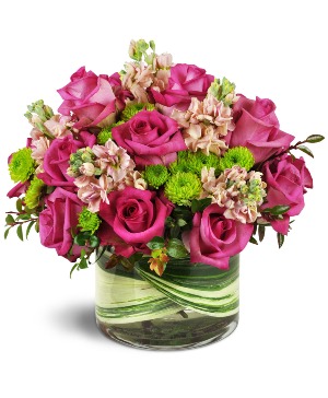 HOT PINK Roses 
